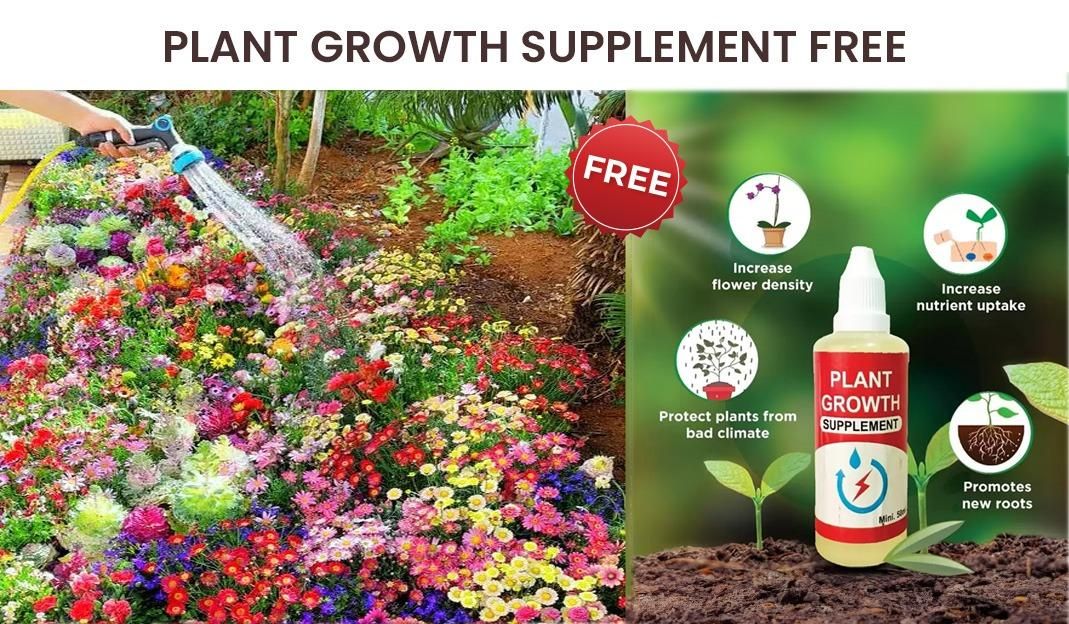 Premium Variety Flower Seeds