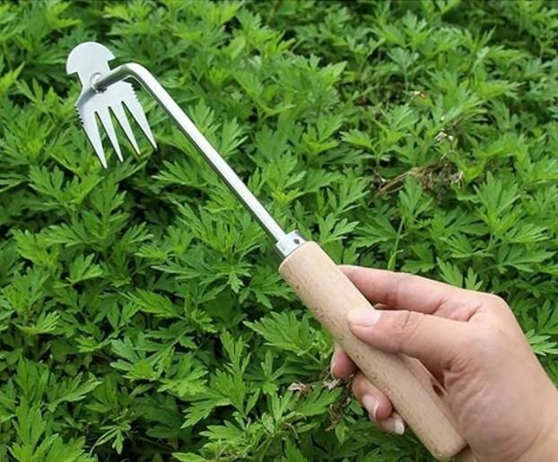 5 Teeth Carbon Steel Garden Weeding