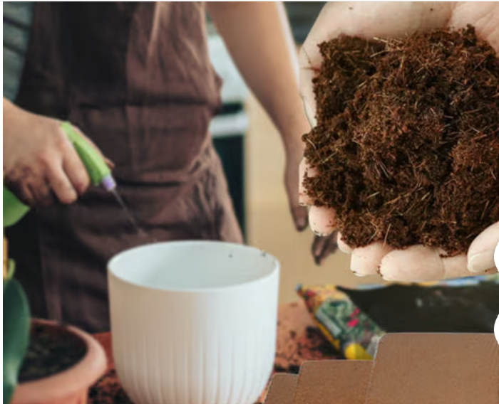 Organic Coconut Coir for Plants (BUY 5 GET 5 FREE)