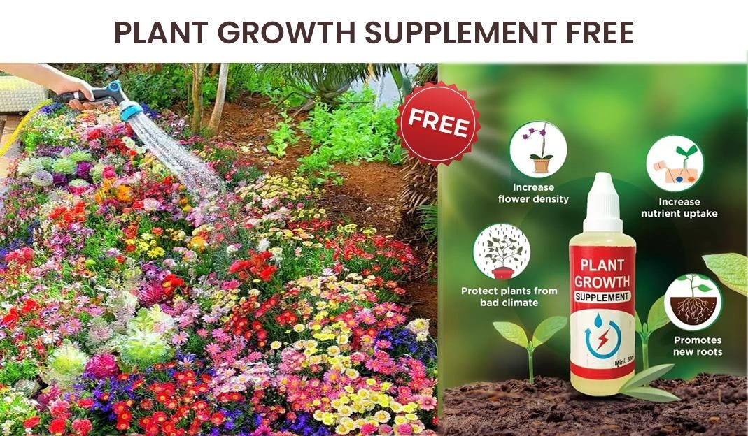 Varieties of Flower Seeds (Pack of 100) Free Plant Growth Supplement