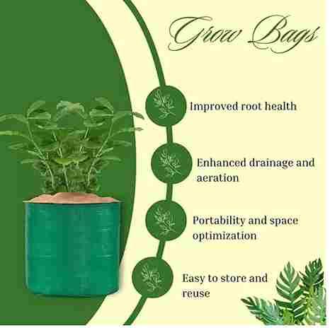 Vegetable Seeds 100 With Free 5 Pices Grow Bag