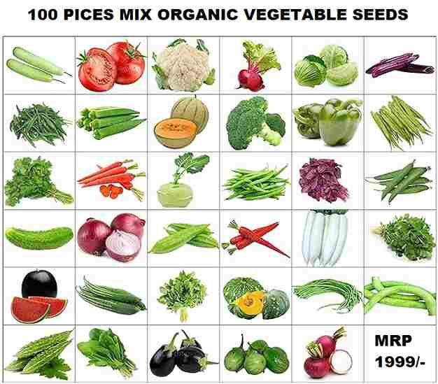 Vegetable Seeds 100 With Free 5 Pices Grow Bag