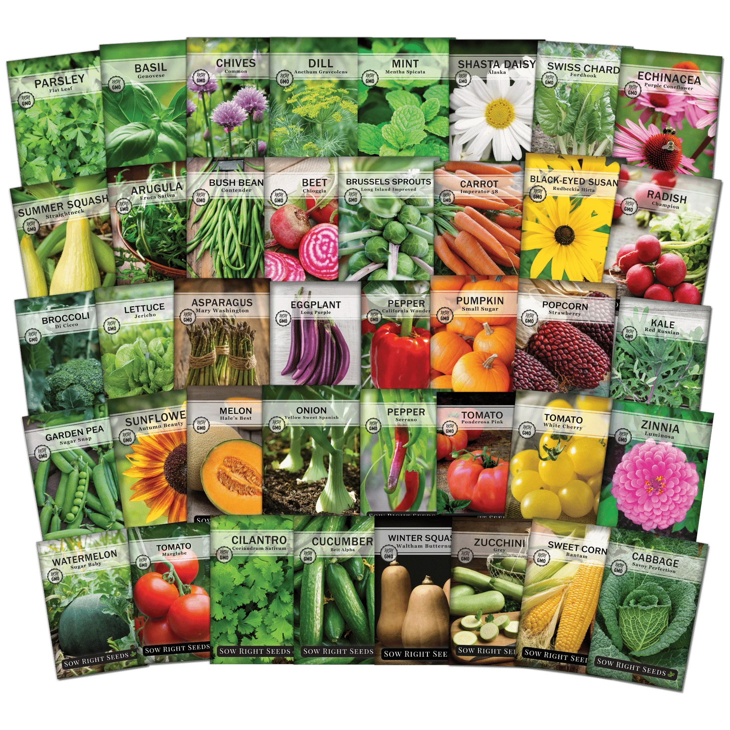 Vegetable Seeds 100 With Free 5 Pices Grow Bag