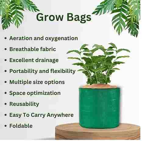 Vegetable Seeds 100 With Free 5 Pices Grow Bag